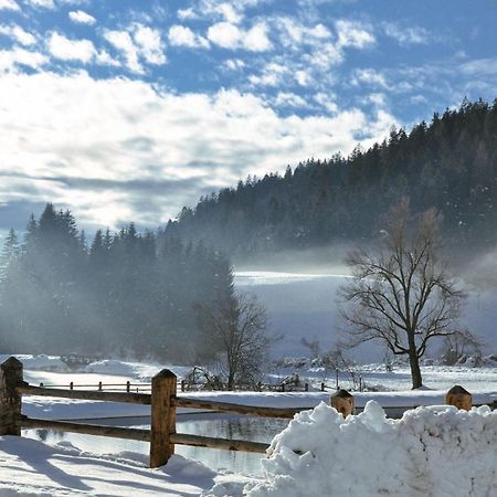 Апартаменты Maso Alpino Con Vista Sulle Dolomiti Mendola Экстерьер фото